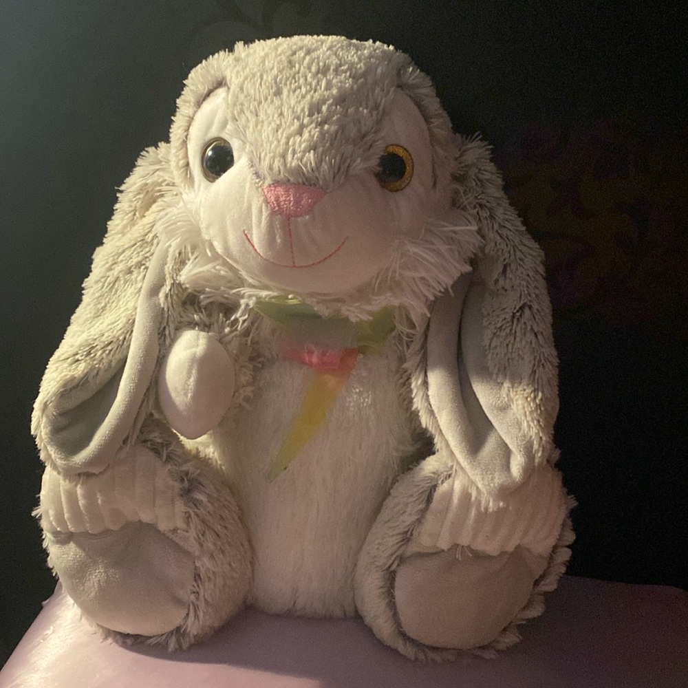 Bunny stuffed animal